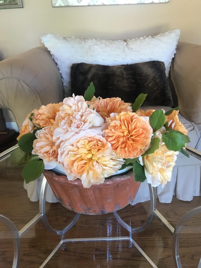 Napa Farmhouse Inn 세인트 헬레나 외부 사진